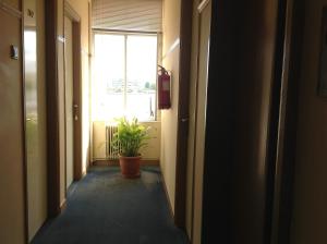 Morfeas Hotel Evia Greece