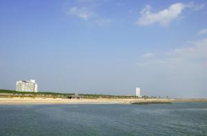 Seagaia Forest Cottages