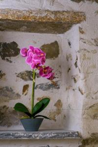 Platipodi stone house