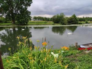 Maisons de vacances Detente au bord du Loir - Gite 1 : photos des chambres