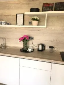 Soukromý pokoj s kuchyní a koupelnou v řadovce - Býšovec