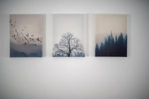 Modern Ground Floor Apartment in Tornagrain