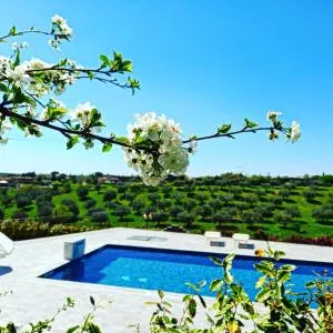 angolo di paradiso - Pisciacavallo