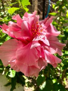 Dielino Amazing Sunset View