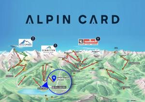 Appartements Steiner - SKI IN - SKI OUT