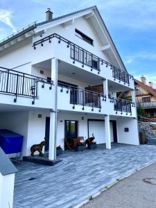 Villa Number 8