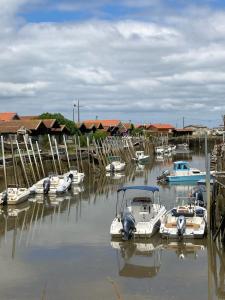 Campings Village Seasonova Bassin d'Arcachon : photos des chambres