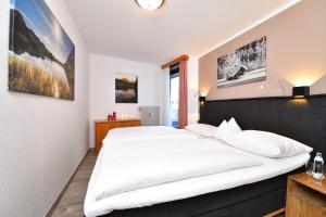 Economy Apartment with double bed/ max 2 adults room in Sport- und Familienhotel Riezlern