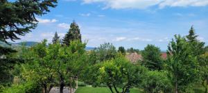 Bike & Chill Apartment