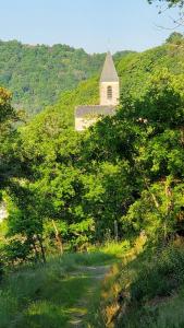 Maisons de vacances La Camisse : photos des chambres