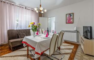 Amazing Apartment In Novi Vinodolski With 1 Bedrooms And Wifi