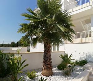 Residence Valentina int 4 - Rooftop Sea View Infinity Pool