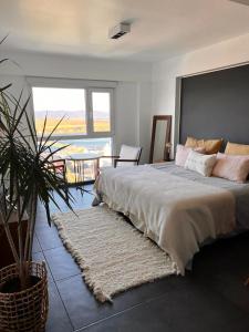 LiveUshuaia Beagle View