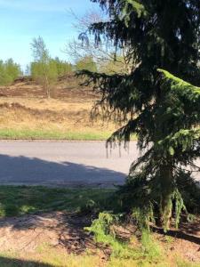 Marens apartment on Randbøl Heath