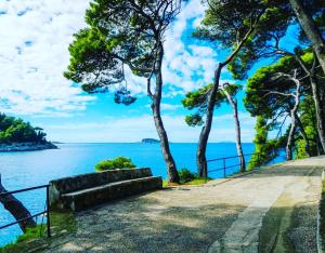 Luxury house Anita in old town Cavtat-beachfront