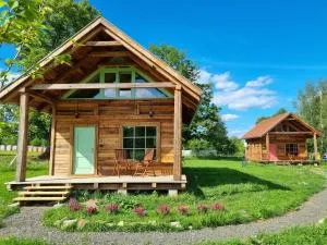 Róża z Miętą - Wolimierz