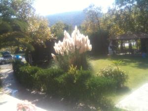 Family Studio with Garden View