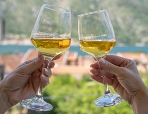 Sunshine - Hotel 3 stelle a Kotor (Cattaro)