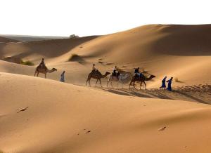 Erg Lihoudi Luxury desert camp with Camel ride, meals & sandboarding
