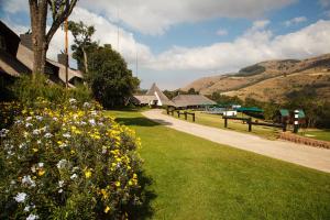 Mount Sheba Rainforest Hotel - Mountain Spring Water