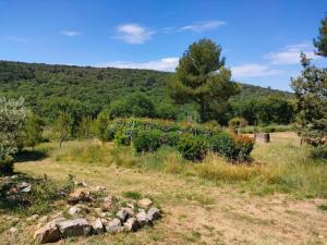 Maisons de vacances La cigale. : photos des chambres