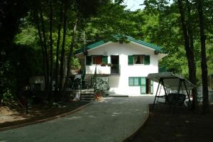 Castagneto dell ETNA