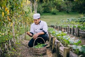 Blancaneaux Lodge by Francis Ford Coppola