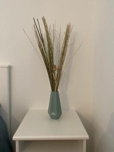 Studio Saint cyprien Plage