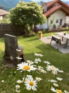 M&M Apartment - 佩尔卡