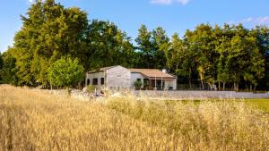 Casa Bosca with heated pool