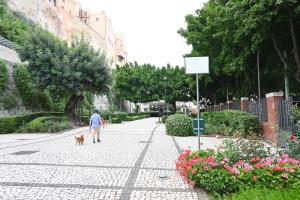 ZenFlamingo Mini Monolocale img21