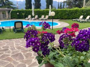 Apartments Panoramica