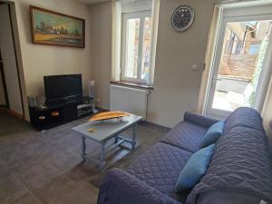 Charmant T2 rénové avec cour privée - centre dÉpinal, proche gare et commodités - FR-1-589-265