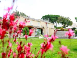 Welcoming villas with swimming pool near Saint-Florent on Cap Corse : photos des chambres