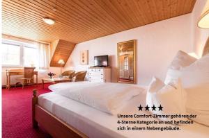 Comfort Double Room room in Hotel Antoniushütte