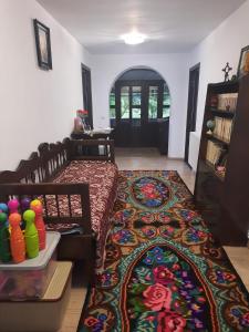 Casa Dumitru si Elena Ciocanesti Bucovina