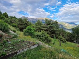 Maisons d'hotes Chalet des Grisons : photos des chambres