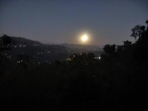 Hotel Le Halcyon Kasauli