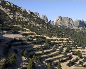 Maisons de vacances Les demeures du Ventoux : photos des chambres