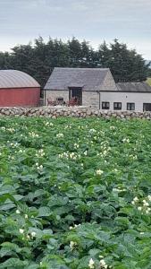 Ballykeel Farm, Mourne Mountains