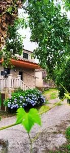 Alojamiento Pena da Osa - Piñeiro