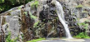 Alojamiento Pena da Osa