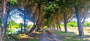 Alojamiento Pena da Osa