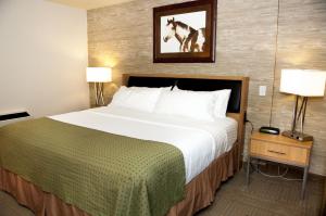 King Room - Non-Smoking room in Holiday Inn Spearfish-Convention Center an IHG Hotel
