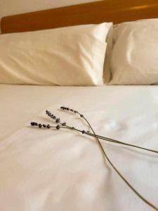 Casa del Puente MurallaHomes