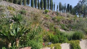 LOFT RURAL MOLINILLO