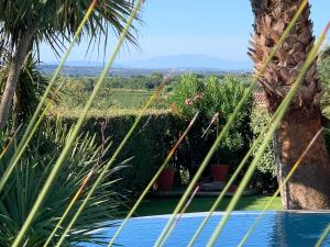 Villas KABEN Superbe villa prestige 4etoiles, piscine chauffee, sauna, jacuzzi, petanque : photos des chambres