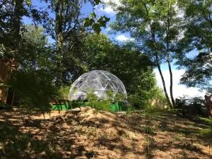 Bulle étoilée en Nature Landaise - Sainte-Colombe