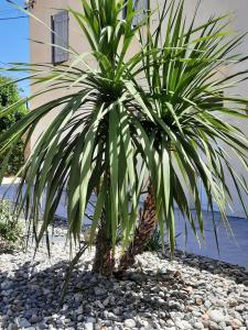 Appartements Gite 4 personnes avec piscine entre Saintes et Royan : photos des chambres