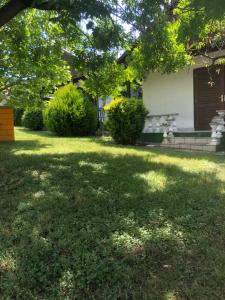 Elizabet Apartman